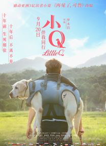 污网站入口